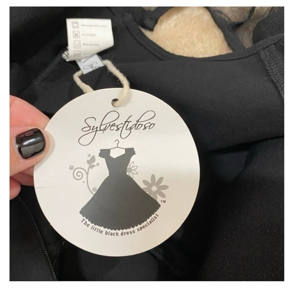 Sleeveless Contrast Mesh Yoke Pleated Dress NWT - Picture 7 of 10